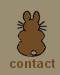 contact rodney rabbit