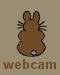 rodney rabbit webcam